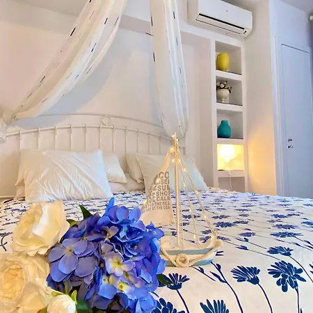 Olas Blue 플라티야 다로