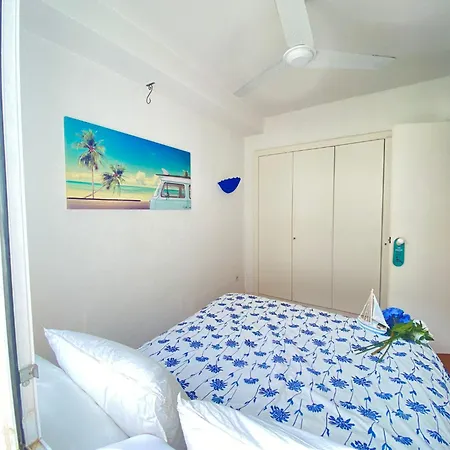 Olas Blue * 플라티야 다로